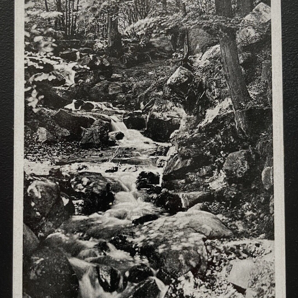Luftkurort Stecklenberg Harz Am Wurmbach Sachsen-Anhalt Deutschland 600133A TH D