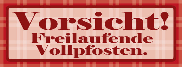 Schild Vorsicht Freilaufende Vollpfosten Idioten Doof Dumm 27 x 10 Blech od.Holz