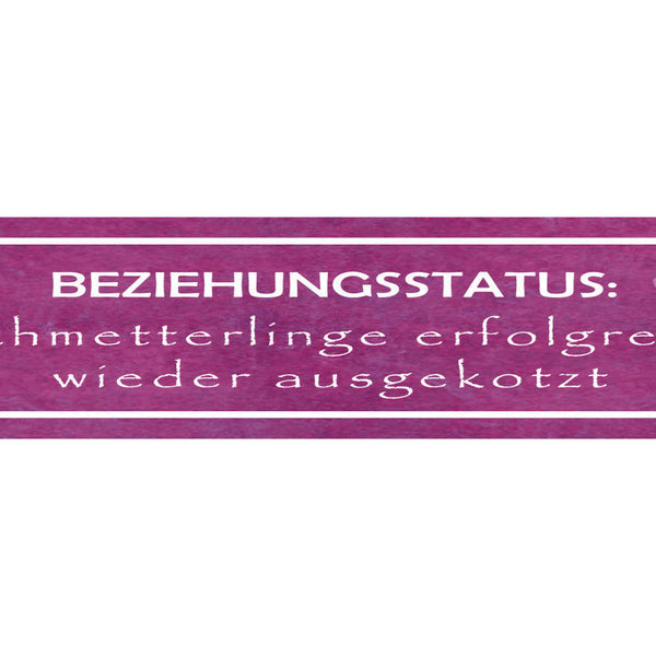 Schild Beziehung Status Schnetterlinge Trennung Liebe Ehe 46 x 10 Blech od. Holz