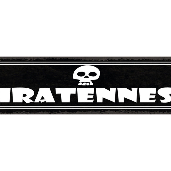 Schild Piratenest Seeräuber Pirat Zimmer Raum Schiff 46 x 10 Blech od. Holz