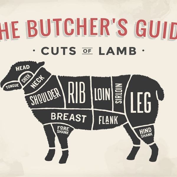 Nostalgie Schild Cuts of Lamb Lamm Diagr. 12x18 / 20x30 / 30x40 Blech od. Holz