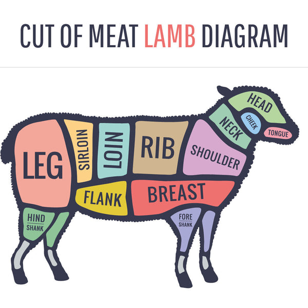Nostalgie Schild Cuts of Lamb Lamm Diagr. 12x18 / 20x30 / 30x40 Blech od. Holz